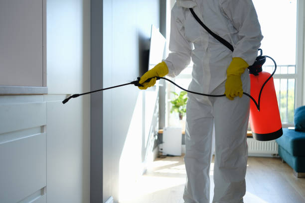 Best Mold Cleaning Services  in Stanton, TX