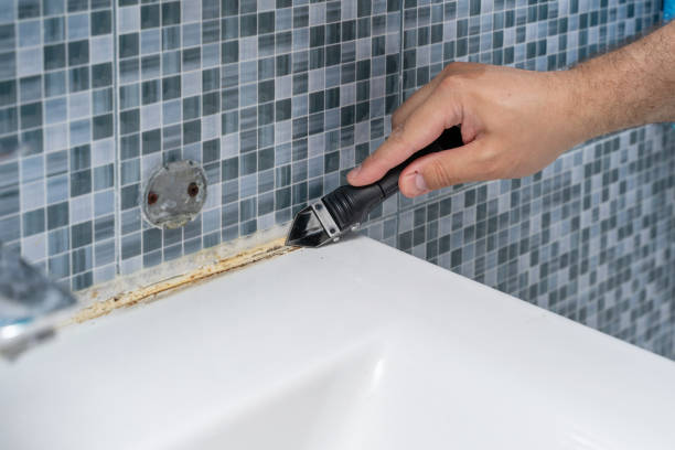 Best Office Mold Removal Services  in Stanton, TX