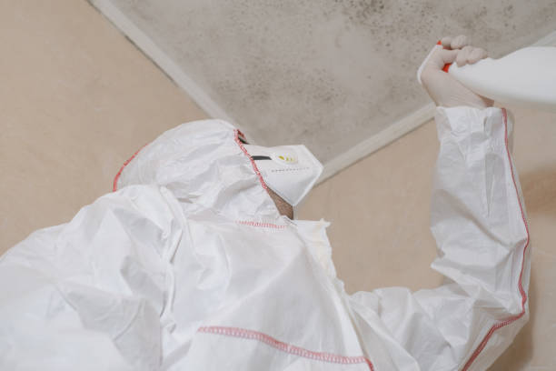 Stanton, TX Mold Removal Company