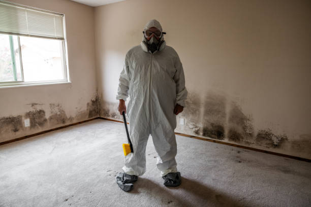 Best Crawl Space Mold Removal  in Stanton, TX